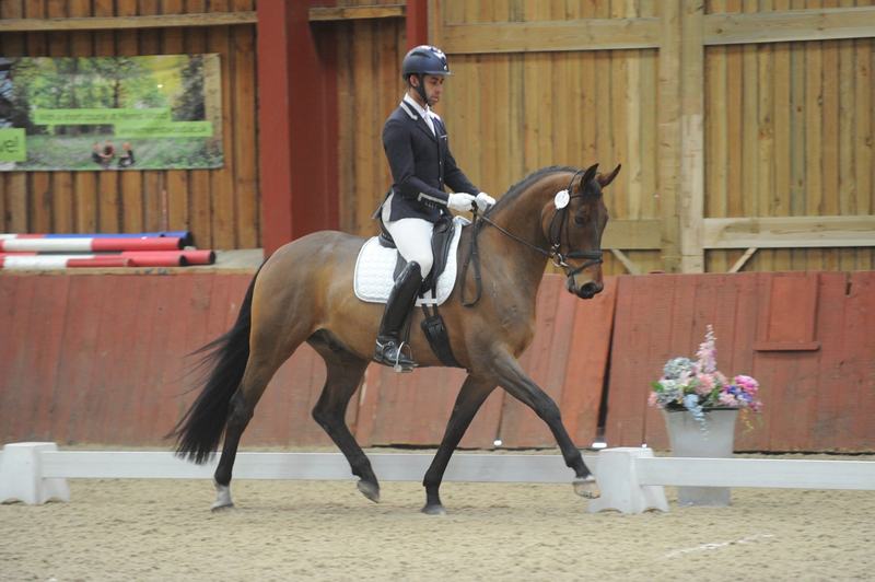 Rider performing a dressage test
